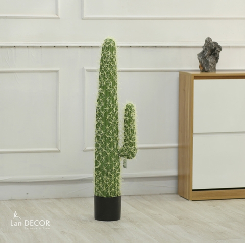 CÂY XƯƠNG RỒNG GIẢ PHONG CÁCH SA MẠC LOẠI 1 TAY (100cm) - LC3027