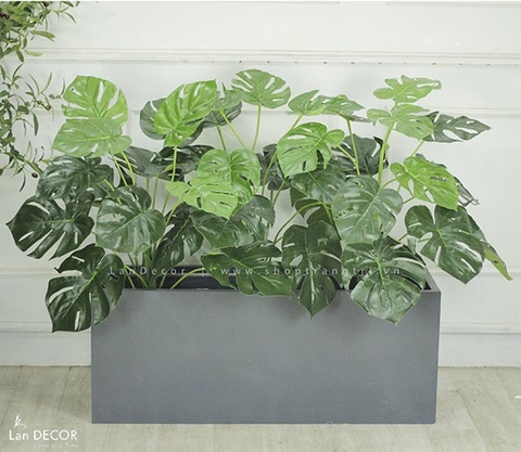 BỒN CÂY LÁ RÙA TRANG TRÍ TIỂU CẢNH XANH HIỆN ĐẠI LAN DECOR - BC040