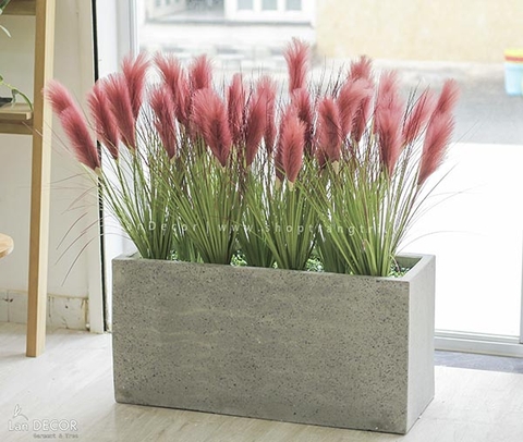 TRANG TRÍ PHÒNG KHÁCH ĐẸP VỚI BỒN CỎ LAU SẬY HỒNG TÍM - BC058