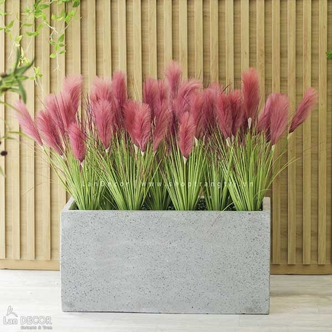 TRANG TRÍ PHÒNG KHÁCH ĐẸP VỚI BỒN CỎ LAU SẬY HỒNG TÍM - BC058