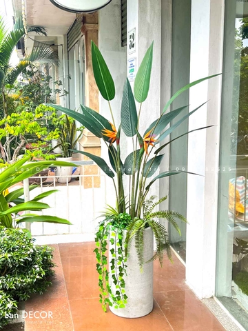 CHẬU TRỤ CHUỐI THIÊN ĐIỂU DECOR ẤN TƯỢNG (1m8)- CC882