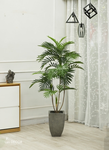 cây dừa giả