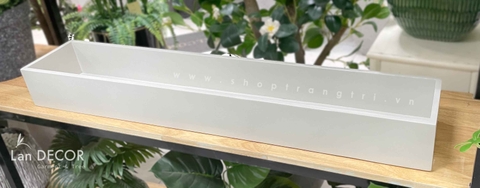 Hộp gỗ trang trí, làm bồn cây tiểu cảnh - HGO01