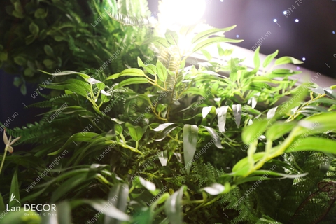 CÔNG TRÌNH TƯỜNG CÂY KHÁCH SẠN JACAY-TRẦN KHÁT CHÂN- TC302