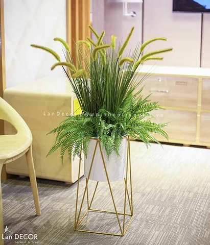 CHẬU CỎ ĐUÔI CHỒN TRANG TRÍ KHÔNG GIAN XANH LAN DECOR - CC208