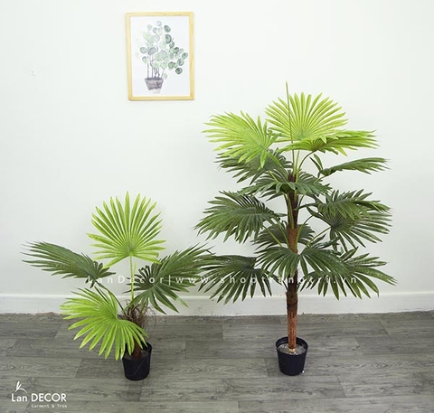 Cây cọ trang trí phong cách nhiệt đới hiện đại Lan Decor (70cm) - LC2895