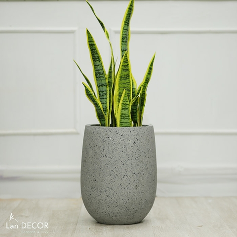 Chậu giọt nước đá mài (30*50cm)- CXM022