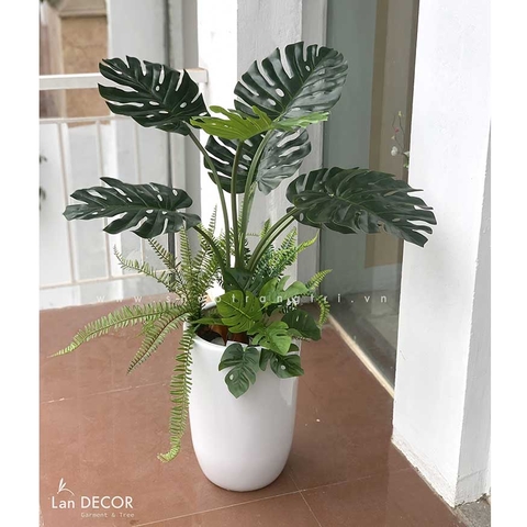 Chậu cây Monstera trang trí tiểu cảnh nhà Landecor (85cm) - LC3057 Mix