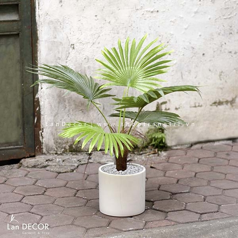 Cây cọ trang trí phong cách nhiệt đới hiện đại Lan Decor (70cm) - LC2895