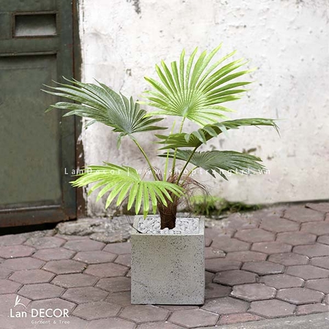 Cây cọ trang trí phong cách nhiệt đới hiện đại Lan Decor (70cm) - LC2895