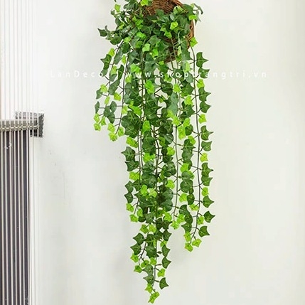 Cành lá giả - Bụi Thường xuân rủ xanh tươi tự nhiên trang trí đẹp mắt - HC011-1