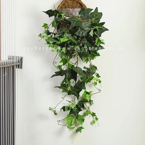 Cành lá lẻ - Bụi thường xuân trang trí treo tường tự nhiên - HC011-2