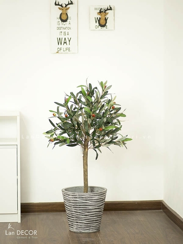 Cây Oliu trang trí phong cách Bắc Âu Lan Decor (90cm) - LC2715