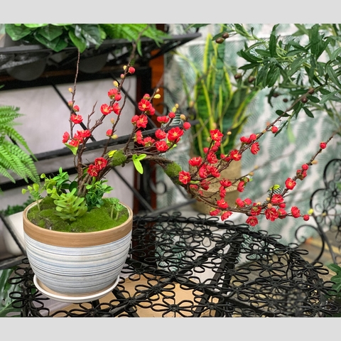 Bình hoa đào bonsai - BH784