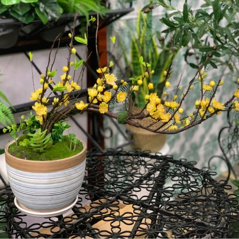 Bình hoa đào bonsai - BH784-3