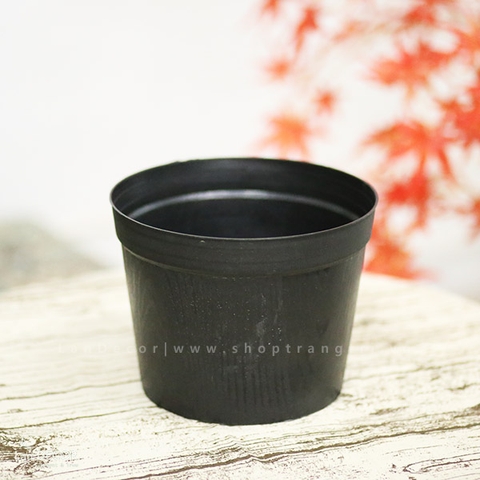 Chậu nhựa đen vân gỗ (D=25cm) - CN020