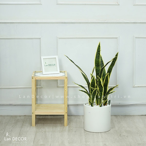 Cành lá giả - Cành lưỡi hổ 80cm (4 lá) trang trí, tạo hình tự nhiên  - HC949