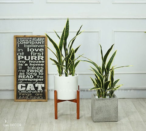 Cành lá giả - Cành lưỡi hổ 80cm (4 lá) trang trí, tạo hình tự nhiên  - HC949