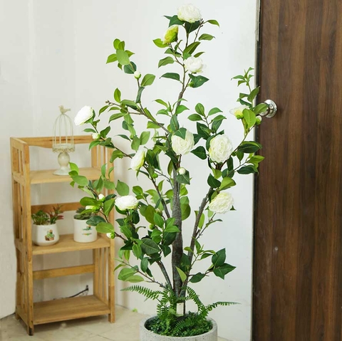 CÂY TRÀ TRẮNG TRANG TRÍ PHONG CÁCH HIỆN ĐẠI (1M4) - LC3012 mix