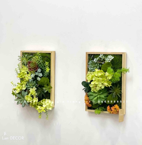TỔNG HỢP CÁC MẪU KHUNG TRANH CÂY, SEN ĐÁ TREO TƯỜNG ĐỘC ĐÁO, TỰ NHIÊN