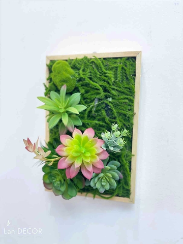 Khung tranh rêu sen đá trang trí nhà đẹp - KTR08(20X30)