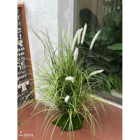 Cỏ Lau Giả - Bụi Cỏ Lau Trắng Decor Tiểu Cảnh Lau Giả, Thiết Kế Hiện Đại (cao 70cm, tán 55cm)- CC1116