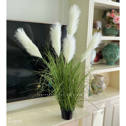 Cỏ Lau Giả-Chậu Cỏ Lau Trắng Decor Không Gian Xinh (cao 110cm, tán 55cm)- CC1101