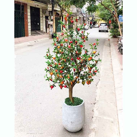 Chậu cây lựu vân đá trang trí không gian sang trong (150cm) - CC223