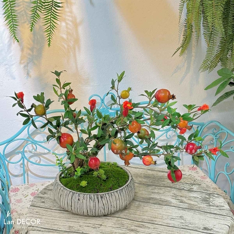 Lựu Giả Trang Trí- Cây Lựu Bonsai Để Bàn Phòng Khách (45cm)- CC1004