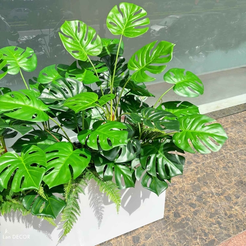 Bồn Cây Giả- Bồn Monstera Trang Trí Tiểu Cảnh Xanh Tươi (130X65X115cm)- BC226