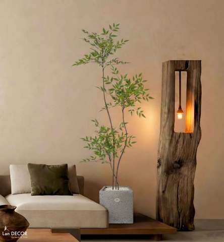 Nam Thiên Trúc Giả- Cây Nam Thiên Trúc Giả Thiết Không Gian Tinh Tế (150cm)- LC3047-3 thân