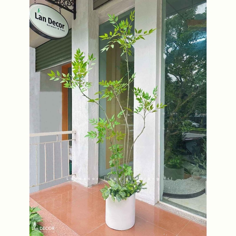 Nam Thiên Trúc Giả- Cây Nam Thiên Trúc Giả Decor Căn Hộ Hiện Đại (190cm)- LC3047-5