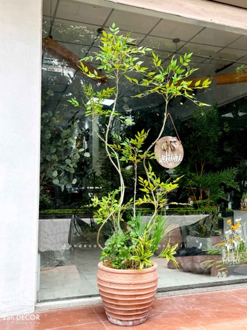 Nam Thiên Trúc Decor- Cây Nam Thiên Trúc Giả 6 Nhánh Decor Nội Thất Hiện Đại (210cm)- LC3047-6