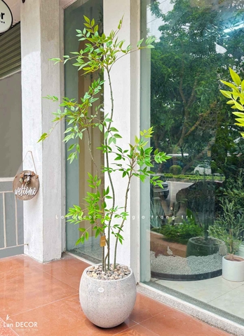 Nam Thiên Trúc Decor- Cây Nam Thiên Trúc Giả Trang Trí Nhà Đẹp (150cm)- LC3047-4 thân