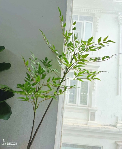 Cành Lá Gỉa Decor - Cành Nam Thiên Trúc Giả Decor Độc Đáo (70-110CM) - HC1336