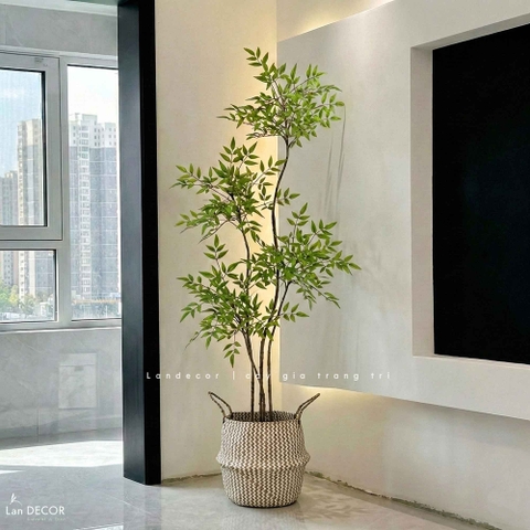 Nam Thiên Trúc Decor- Cây Nam Thiên Trúc Giả Trang Trí Nhà Đẹp (150cm)- LC3047-4 thân