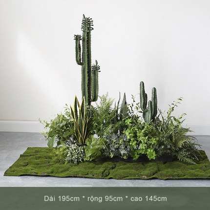 Bồn cây tiểu cảnh xương rồng trang trí LanDecor- BC065