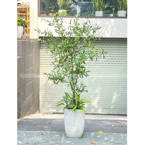 CHẬU CÂY OLIU GIẢ DECOR ẤN TƯỢNG (170CM)- CC763