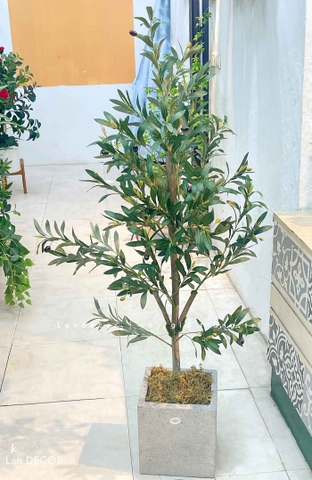 Cây Xanh Giả- Cây Olive Giả Decor Không Gian Tối Giản (150cm)- CC1288