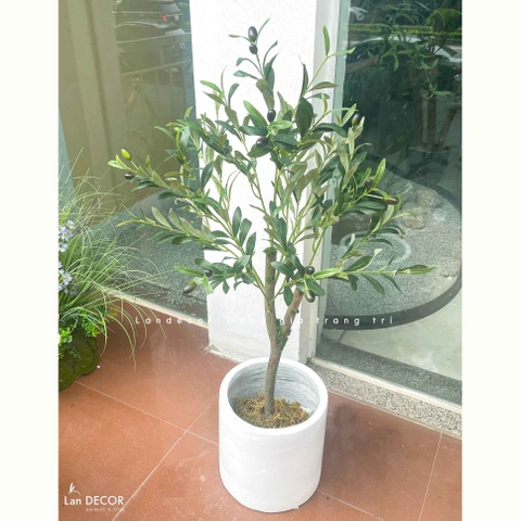 Cây Giả Trang Trí- Cây Olive Giả Trang Trí Nội Thất (90cm)- CC1305