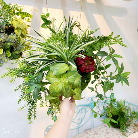 Thiết Kế Quả Cầu Treo Rủ Decor Tiểu Cảnh Xanh Hiện Đại (40x50x30cm)- CC1297