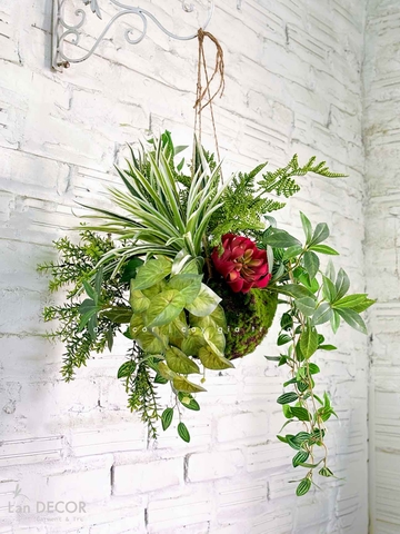 Thiết Kế Quả Cầu Treo Rủ Decor Tiểu Cảnh Xanh Hiện Đại (40x50x30cm)- CC1297