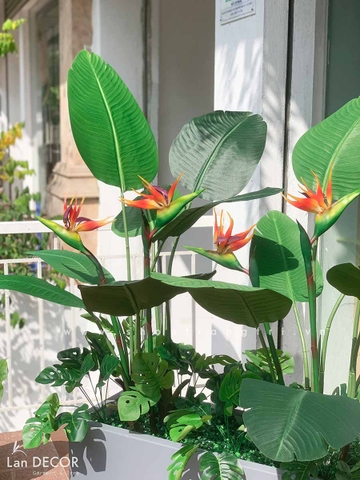 Bồn chuối thiên điểu trang trí nhà đẹp Landecor - CC431