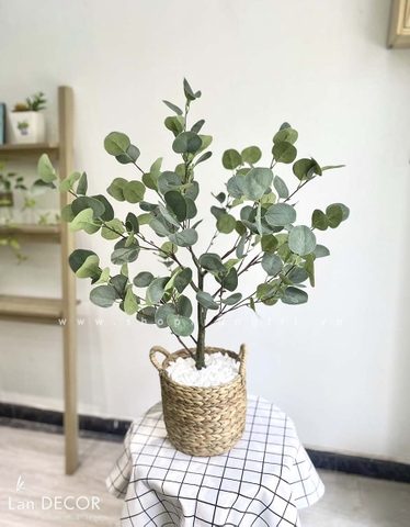 Cây bạch đàn lá tròn phong cách Bắc âu LanDecor (85cm) - LC3049