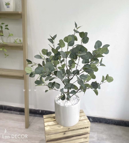 Cây bạch đàn lá tròn phong cách Bắc âu LanDecor (85cm) - LC3049