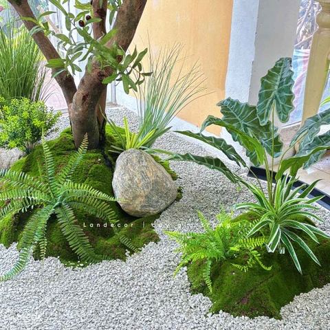 Tiểu Cảnh Cây Giả- Thiết Kế Tiểu Cảnh Cây OLive Giả Trang Trí Không Gian Rộng Ấn Tượng (280X145X285CM) - RC119