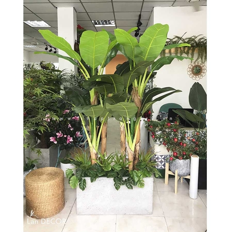 BỒN CÂY CHUỐI BẸ TRANG TRÍ TIỂU CẢNH LAN DECOR - BC2648-1 mix
