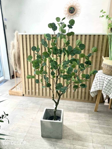 CÂY BẠCH ĐÀN GIẢ TRANG TRÍ NHÀ (130cm) - LC3050