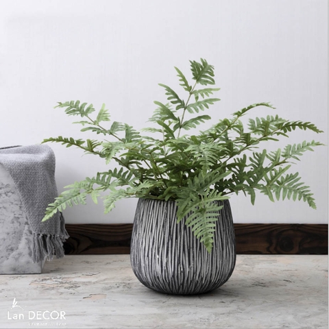 Cây dương xỉ cây cảnh trang trí nhà đẹp (50cm) - LC353-1