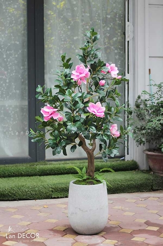 Chậu hoa mộc lan trang trí nội thất hiện đại Lan Decor (1,6m) - CC243-2